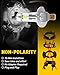 AUXITO 2025 Upgraded H1 LED Light Bulb, 1:1 Mini Size, No Adapter Required Easy install, 6500K White, H1ll Fanless LED Kit Fog lights, Canbus Ready, Plug and Play, Pack of 2