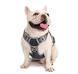 Dog Harness No Pull Reflective， WALKTOFINE Comfortable Harness with Handle，Fully Adjustable Pet Leash Vest for Small Medium Large Dog Breed Car Seat Harness Grey M