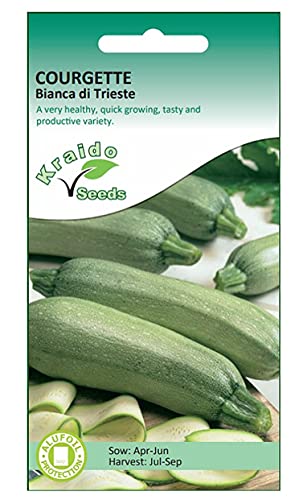 Italian Courgette Zucchini Seeds Bianca di Trieste Ivory Green Heirloom Cucurbita Pepo 20 Seeds Grow Your Own Vegetable Perfect for Greenhouse or Outdoor Growing