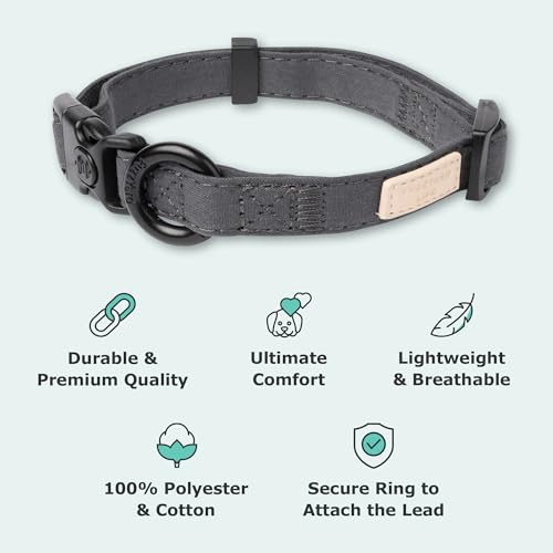 Collier grand chien gris pour balades et éducation active