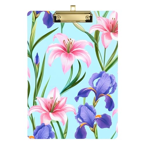  sN  p[v ACX AN Nbv{[h 12C` x 9C` tpNbv{[h  LbY Nbv{[h 킢 ŌwZ Ki Vo[