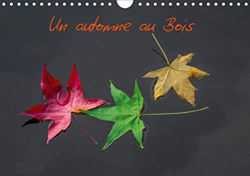 Un automne au Bois (Calendrier mural 2021 DIN A4 horizontal): Un automne dans le Bois de Boulogne. (Calendrier mensuel, 14 Pages