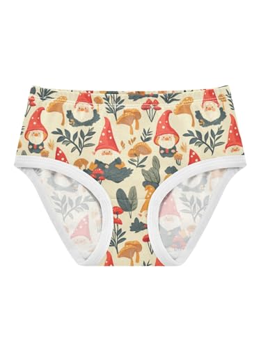 ZZKKO Autumn Gnomes and Mushrooms Girls Underwear Toddler Panties for Girls Comfort Brief Size 2T