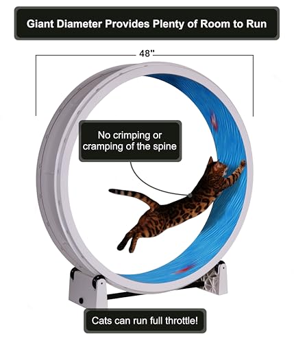 Image of One Fast Cat - Cat Exercise Wheel - Gen. 7 - Safe 48 inch Diameter - Made in The USA - White Wheel with Koi Pond Foam Traction Pads and Solid Black Inline Wheels