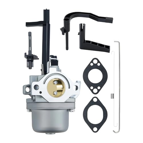 Carburador para motor serie 1450 (793779) y piezas de repuesto para motocicleta