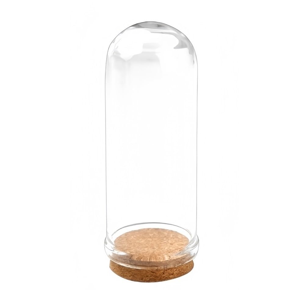 Bell Jar Cloche 36.5/71.5cm Decorative Jars Display Cases, Glass Dome Cloches with Wooden Bases 15pcs(71.5cm*2.8cm)