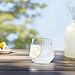 Amazon Basics Tritan Glasses, Dishwasher Safe, BPA-Free Plastic, Stemless Wine, Shatterproof, 14-oz, Clear, Set of 4
