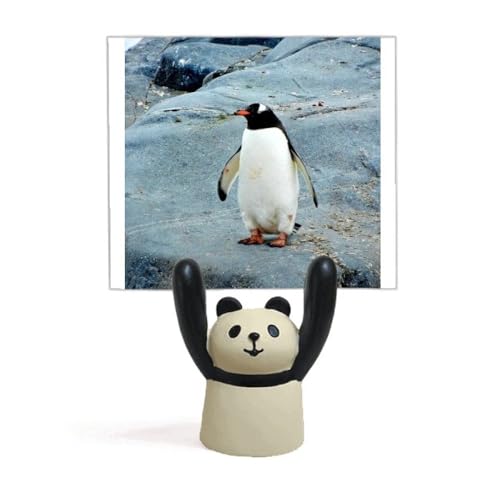 Porte-mémos antarctique pingouin pour une décoration de bureau zen