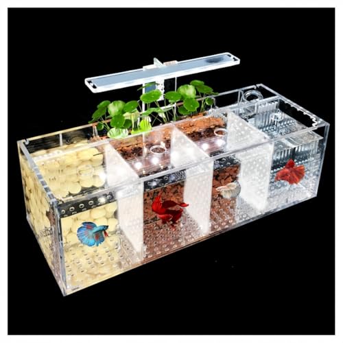 zjdgweh ベタ水槽水族館アクリル素材ミニデスクトップ小型魚水槽ボウルキット、LEDライト付き自己循環生態タンク病気の魚隔離室 卓上用・仕切り付き・闘魚飼育対応 透明 観賞魚飼 魚飼育 金魚 (4グリッド+LEDライト)
