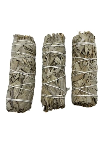 HOSTENATURA 3 Atados Salvia Blanca de California | Ecológico y Sostenible | 100% Original | Purificación, Limpieza Energética y Armonía | 10cm | 3 Unidades