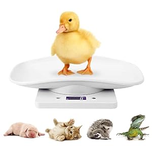 Digital Mini Pet Scale, Small Animal Weight Scale, Portable LCD Electronic Weighing Scale with Tray(Max. 22 lbs), Multifunction Kitchen Scale for Food/Puppy/Kitten/Lizard/Hamster/Tortoise/Whelping