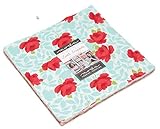 Bonnie & Camille Little Snippets Layer Cake 42 10-inch Squares Moda Fabrics 55180LC