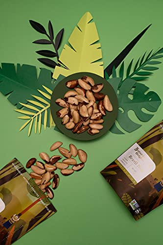Botanica Raw Brazil Nuts, 10 Oz | Whole | Unsalted | Wild | Non-Gmo | Vegan, Keto And Paleo Friendly #TOP2