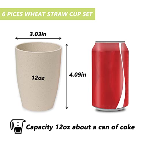 Choary Wheat Straw Cups,6 Pcs Plastic Cups 12 Oz Reusable Unbreakable Tumblers Lightweight Camping Drinking Glasses For Adult,Dishwasher Safe Water Glasses With 6 Colors.… #TOP3