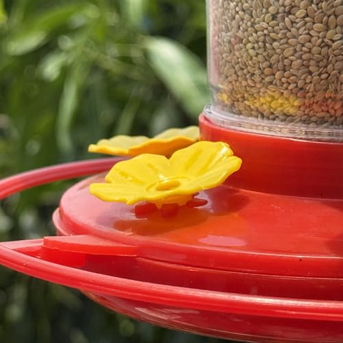 Image of Humming Bird Food Feeder