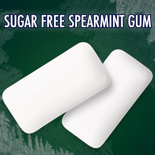 ECLIPSE Spearmint Chewing Gum Sugar Free, Mint Gum Bulk Pack, 8.8 Ounce (180 Piece Bag)
