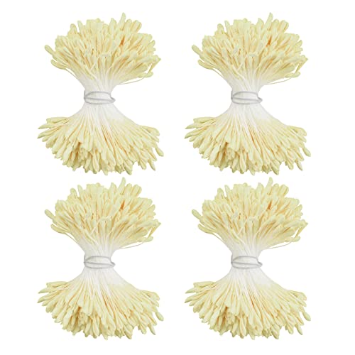 Contenuto della confezione: la confezione viene fornita con 1360 stami di fiori artificiali di colore giallo canarino, la cui lunghezza è di 6 cm, grande quantità può soddisfare le tue esigenze di decorazione per fiori artificiali.