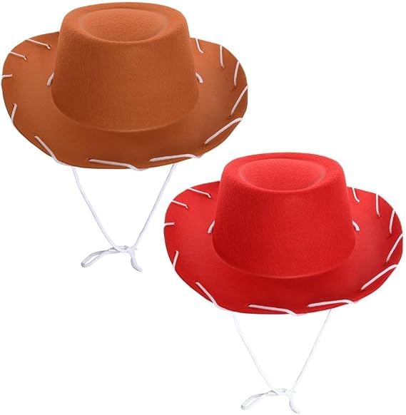 Child's Cowboy Hat 2 Pack - Cowboy and Cowgirl Wild West World Book Day