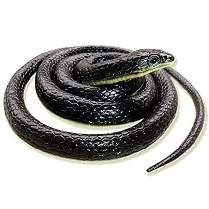 Image of KRySt Brown Lizard and Black Snake Combo Toys | Real Looking Rubber Lizard Toy | Original Look Chipkali Toy | Chipkali and Snake Prank Toys for Kids and Adults (Snake - 2 Nos.)