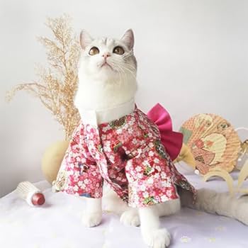 着物女性と猫 猫服 ワンタッチコーデ おめかしして袴気分 猫の着物 ゴロにゃん