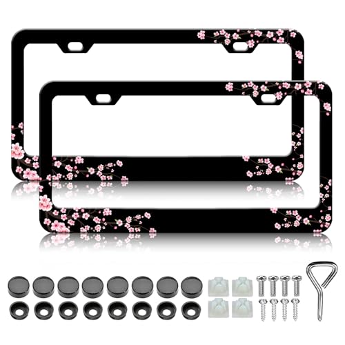 ̃io[v[gt[ - sN̉Ԃ̉ԕ̓{̃io[v[gz_[Jo[AA~jE^hKhJ[^Ot[AlW߃Lbvt2pbN