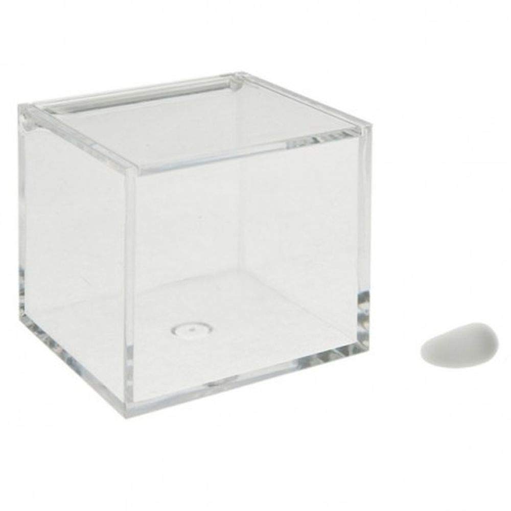 Publilancio srl12X Party Favour Box 8 x 8 x 8 cm Plexiglass