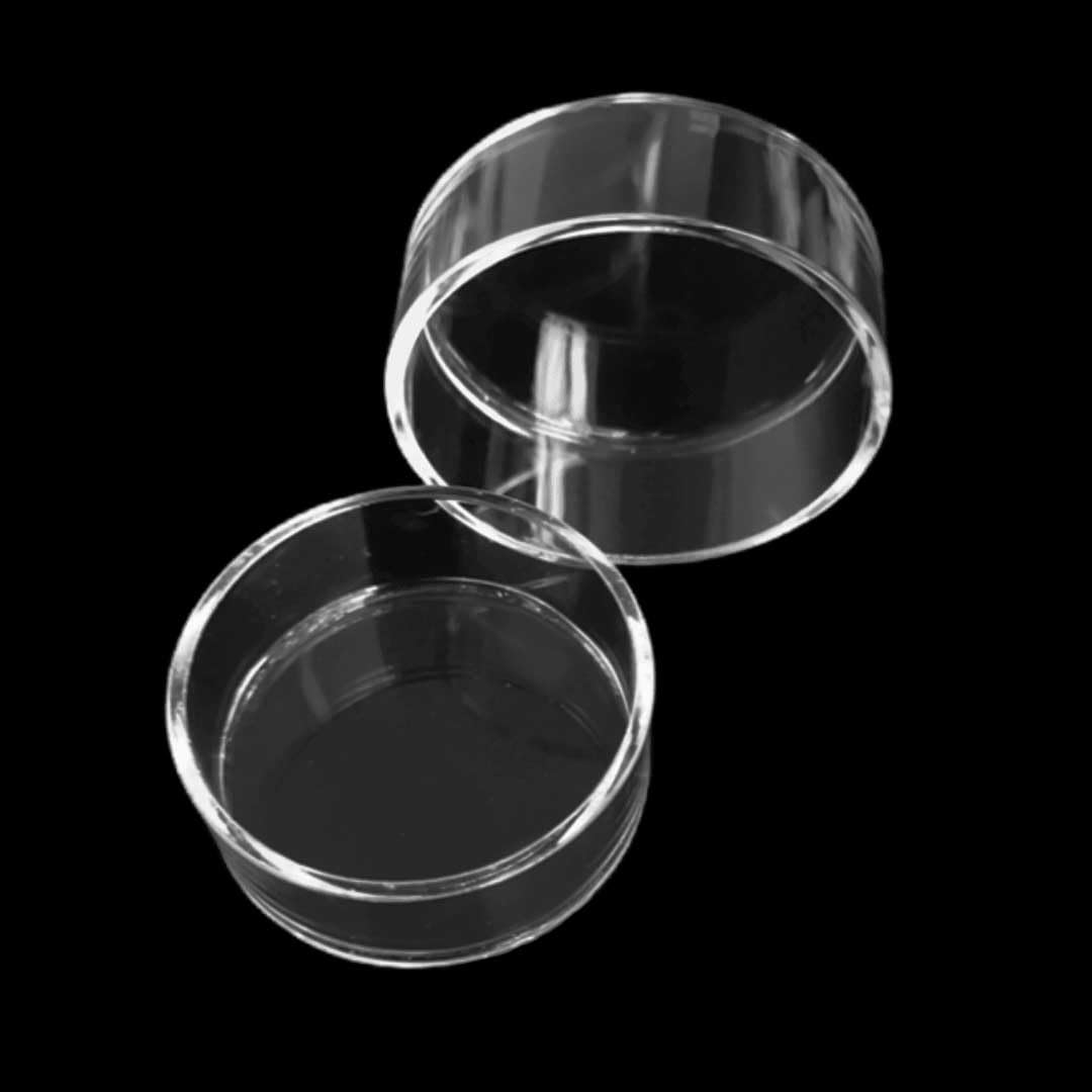 Quarzglas-Petrischalen mit Deckel – flacher Boden, hochtemperaturbeständig, 1 Stück, mehrere(100x3x20mm)