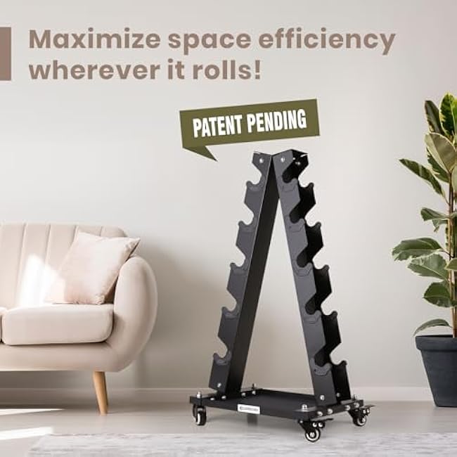 LIONSCOOL Premium Solid Steel Dumbbell Rack Stand Only, A-Frame Portable Weight Storage Organizer with Optional Tray and Wheels, Perfect for Home Gym Fitness Storage (200LBS/300LBS/700LBS Weight Capacity Available)