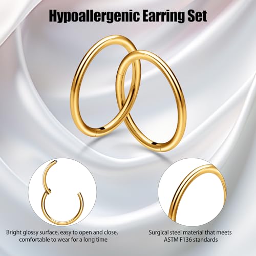 8Pcs Nose Ring Hoop & Hinged Clicker Septum Rings [16G/18G/20G]–Hoop Helix Cartilage Daith Tragus Sleeper Earrings For Women Men3