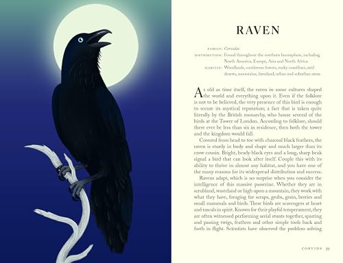 Image of The Folklore of Birds: The forgotten tales behind nature's most enigmatic creatures