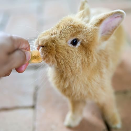 JR FARM Bananen-Chips 150 g