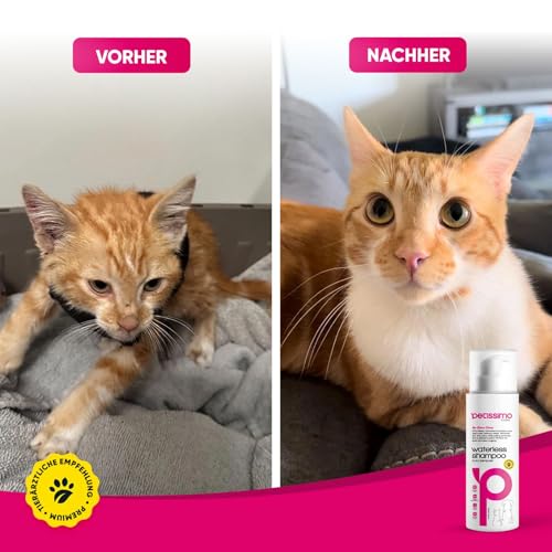 Petissimo Trockenshampoo für Hunde & Katzen – Wasserloses Fellshampoo ohne Ausspülen – Sanfte Fellpflege für zwischendurch – Für alle Rassen & Felltypen