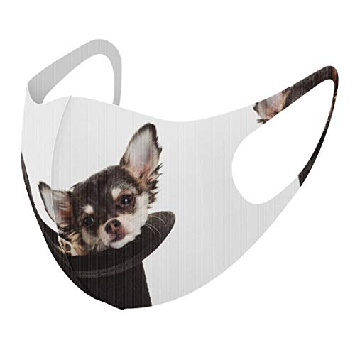 [X}R] fUC }XN QZbg |GXe 􂦂 z}XN jp 006481 Aj} ʐ^Ei ʐ^  