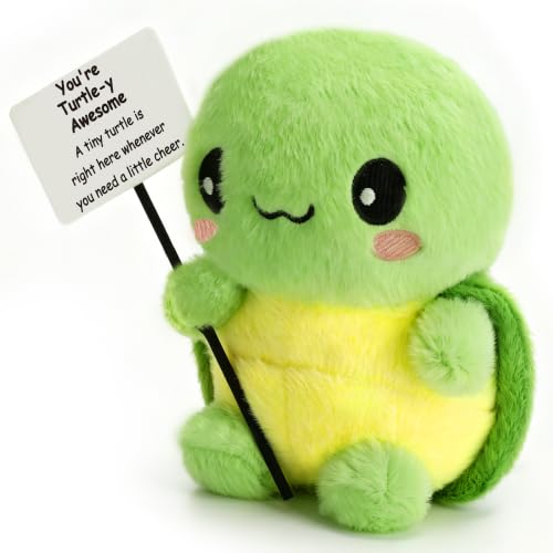 ZenDecor Positive Turtle Plush Gift with Inspirational Card for Women & Men