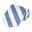 Cornflower Blue and White