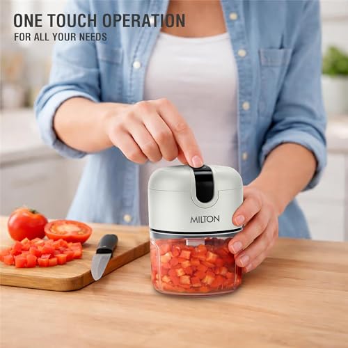Image of MILTON 6-in-1 Rechargeable Mini Electric Chopper I Unbreakable Food Grade Material I Stainless Steel Blade I Powerful Motor I Perfect to Chop, Mince, Cut, Dice, Whisk, Blend, Grey