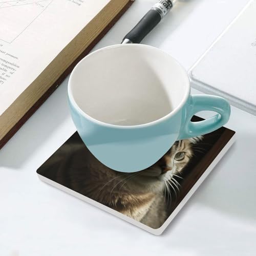 Dessous de verre céramique chat tigré : stop aux taches d'eau sur votre table - 6
