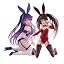 2pcs