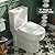 DeerValley 12" Rough-In Small Compact One Piece Toilet For Bathroom with Gold Button