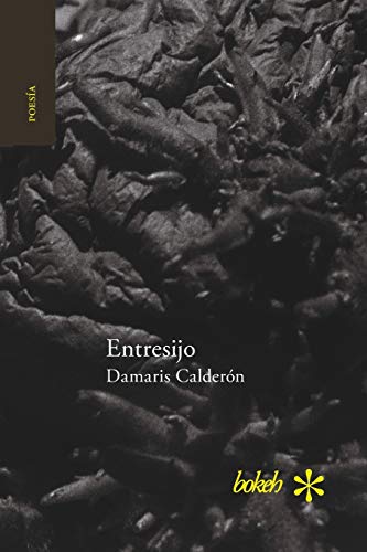 Entresijo (Spanish Edition)