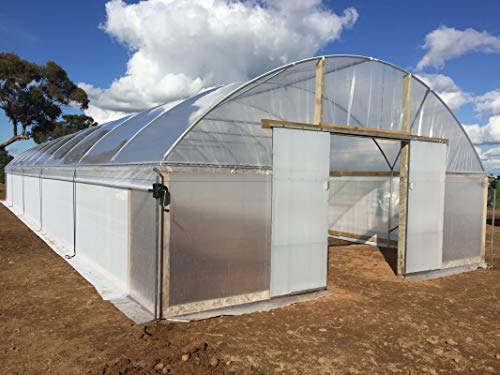 A&A Green Store Greenhouse Plastic 4 Year 6 mil UV Resistant Clear Polyethylene Film (32' x 100')