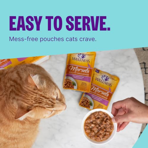 Wellness Healthy Indulgence Shreds Variety Pack Adult Wet Cat Food, Natural, Protein Rich, Grain Free, 2 Flavors, 3 oz, Pack of 8 Pouches - image 2