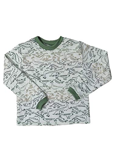 Kit 2 pijamas inverno infantil menino longo moletinho flanelado 6 a 12 anos (12)