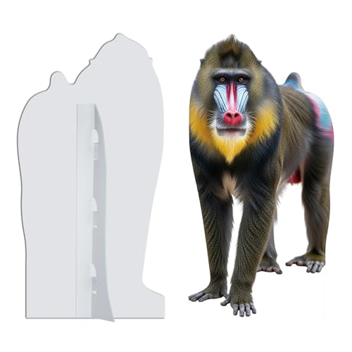 Image of Mandrill 1FT Life Size Cardboard Cutout for Party Decor, 1 PC | Fun Animal Standup for Events, Birthday Parties, Photo Booth, Holiday Celebrations, Office Decor, Wedding, and More
