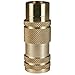 Dixon Valve 2LF2-B, L-Series 1/4" Lincoln Female Couple (Pack of 22 pcs)