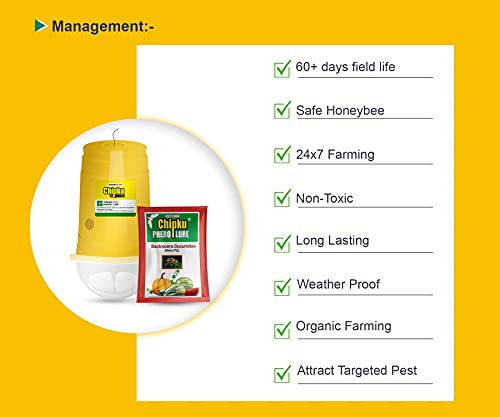 Image of Chipku ECO Trap /IPM Trap /Glass Trap /Melon Fly Trap- Useful for Melon cucurbitae Bottle Guard All Vegetable -100 Pieces