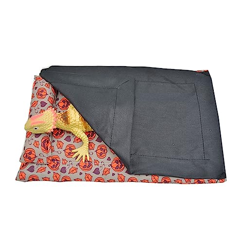 gJQȃxbhbg``ѕznX^[nEXP[WANZT[ybgxbhƖѕz