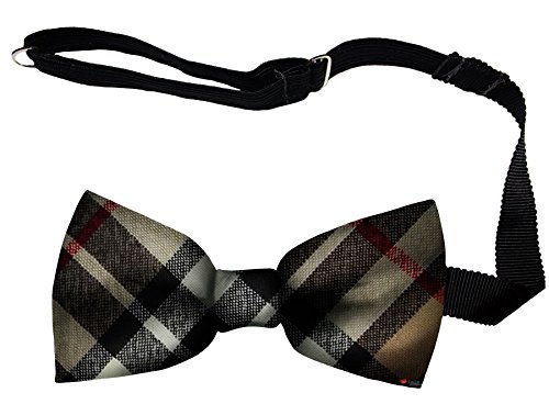 Noeud Papillon Homme Fixation Facile en Laine Écosse Thomson Camel I LUV LTD
