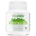 Xylichew 100% Xylitol Chewing Gum Jars - Non GMO, Gluten, Aspartame, and Sugar Free Gum - Natural Oral Care, Relieves Bad Breath and Dry Mouth - Spearmint, 60 Count (Pack of 4)