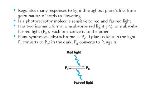 Barron's AP Biology Flash Cards - Image 9